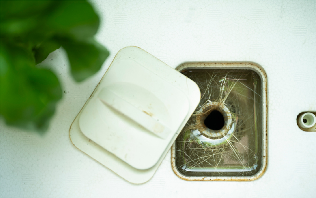 アグリ事業への新展開